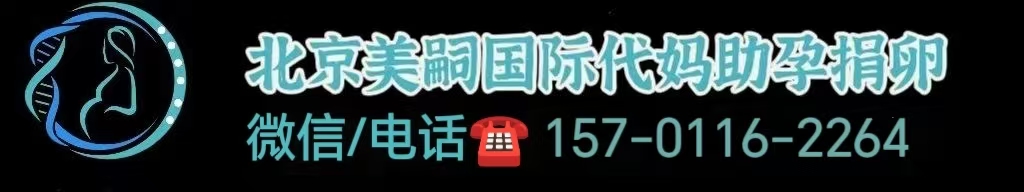 同性恋试管婴儿多少钱